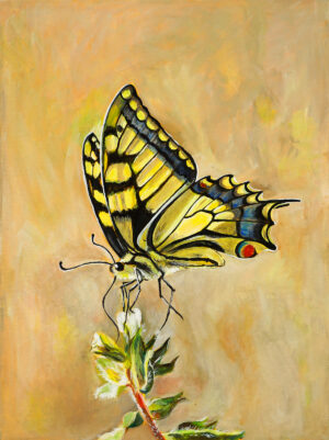 "Butterfly No.4"