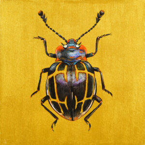 "Insect No.2"