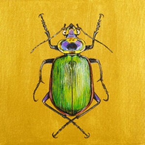 "Insect No.3"